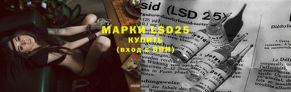 spice Михайловка