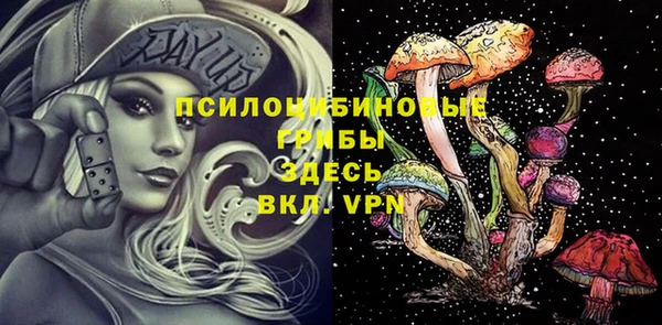 прущий лед Михайловск