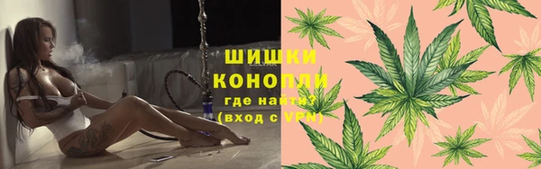 МДПВ Михайлов