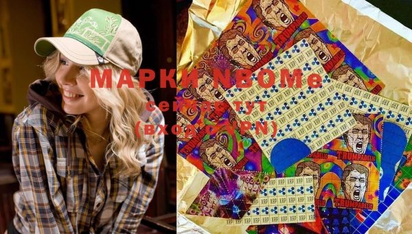 МДПВ Михайлов