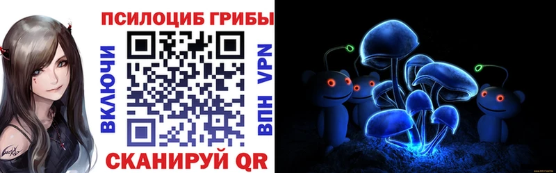 где можно купить   Сясьстрой  Псилоцибиновые грибы прущие грибы 